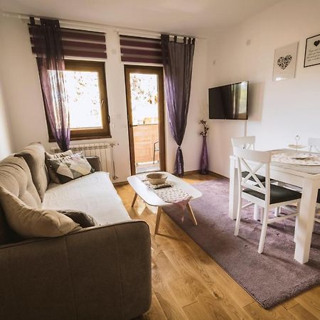 Apartmani F&A Zlatibor Luaran gambar